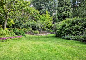 Optimiser l'expérience du jardin à Wambrechies
